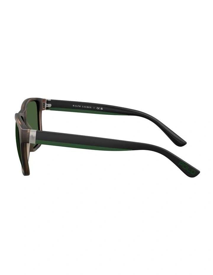 Injected Sunglasses in Tortoise image 2
