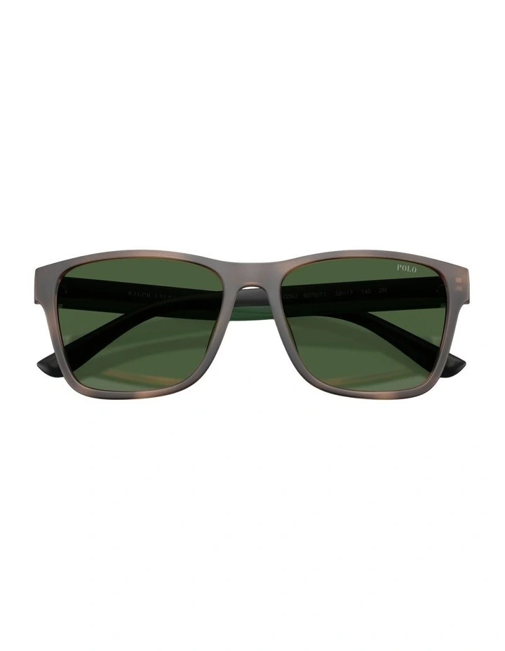 Injected Sunglasses in Tortoise image 3