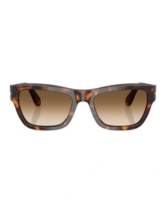 Acetate Sunglasses in Tortoise