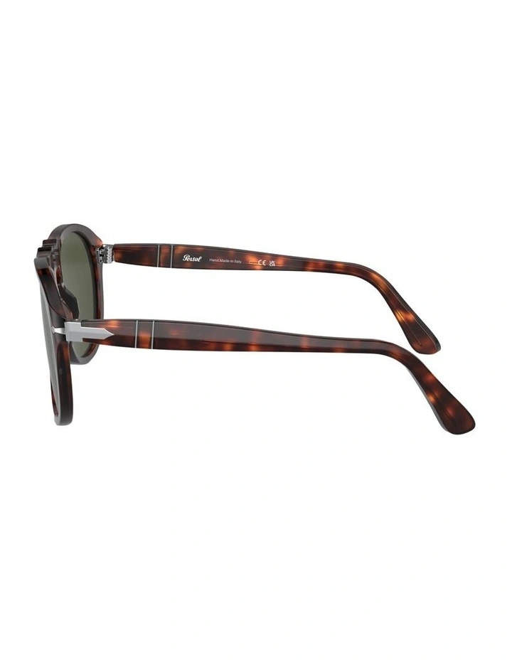 649 - Original Acetate Sunglasses in Tortoise image 3