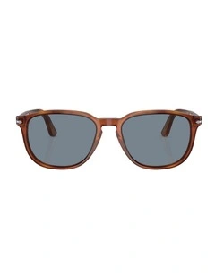 Acetate PO3019S Sunglasses in Brown