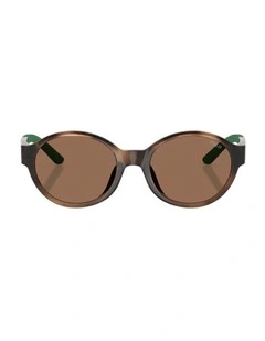 Injected Sunglasses in Tortoise