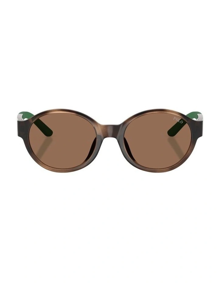 Injected Sunglasses in Tortoise image 1