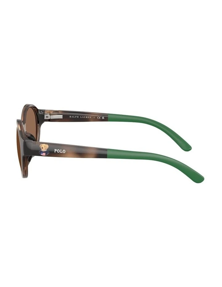 Injected Sunglasses in Tortoise image 2