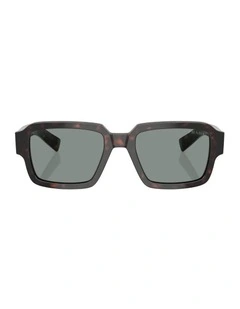 Acetate Sunglasses in Tortoise