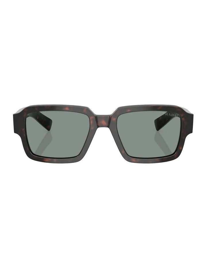 Acetate Sunglasses in Tortoise image 1