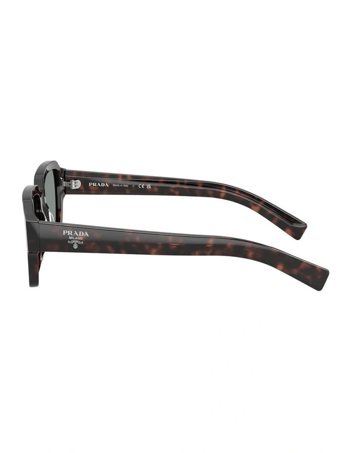 Acetate Sunglasses in Tortoise image 2