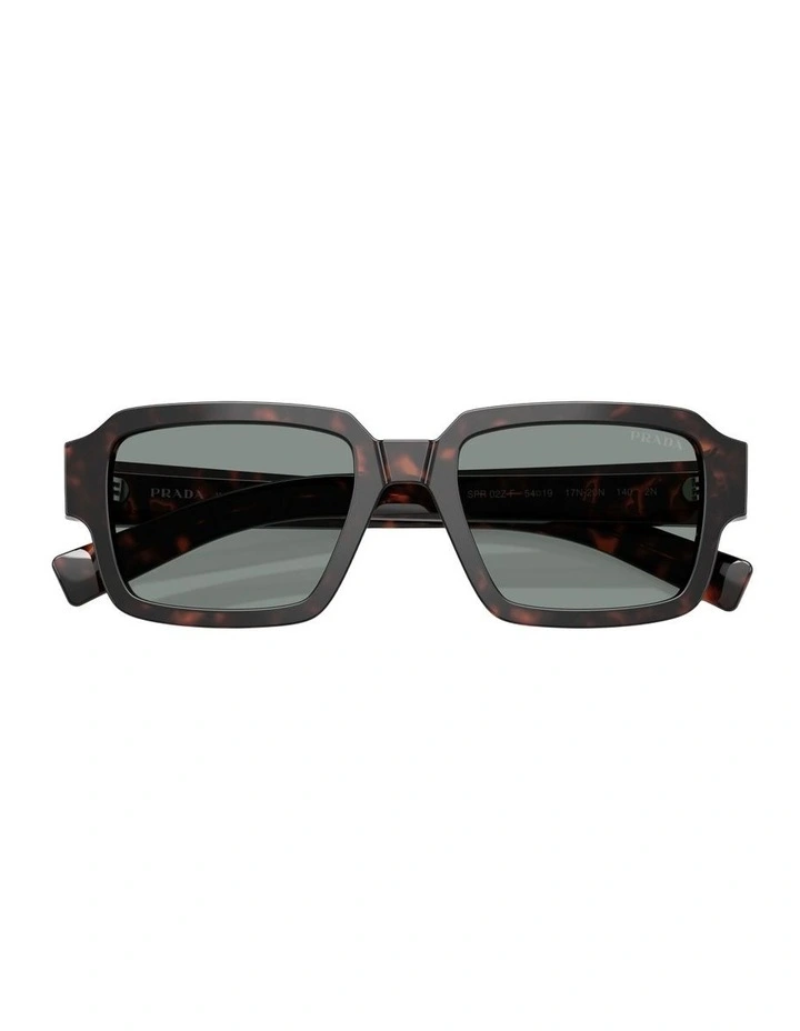 Acetate Sunglasses in Tortoise image 3