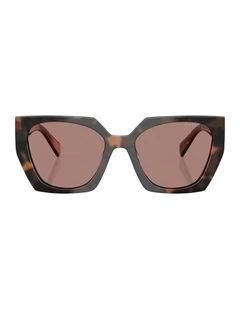 Acetate Sunglasses in Tortoise