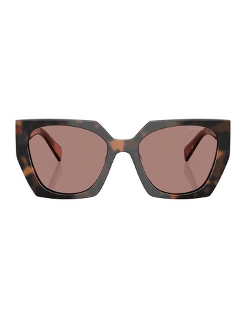 Mauve Tortoise colour
