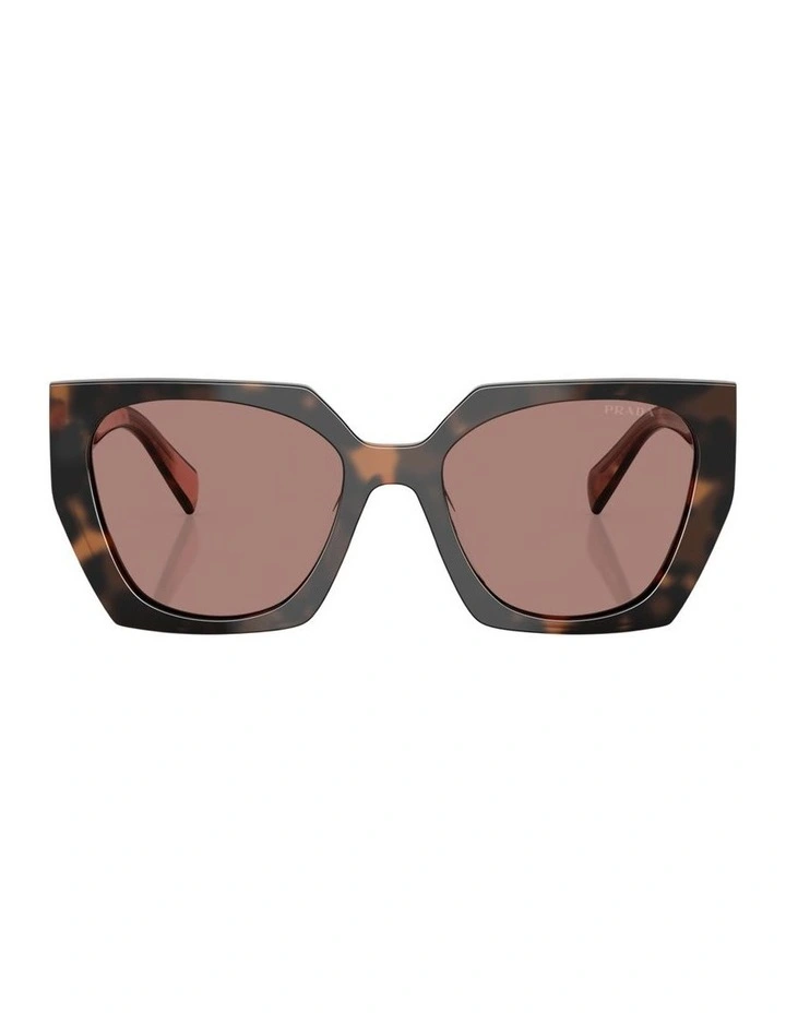 Acetate Sunglasses in Tortoise image 1