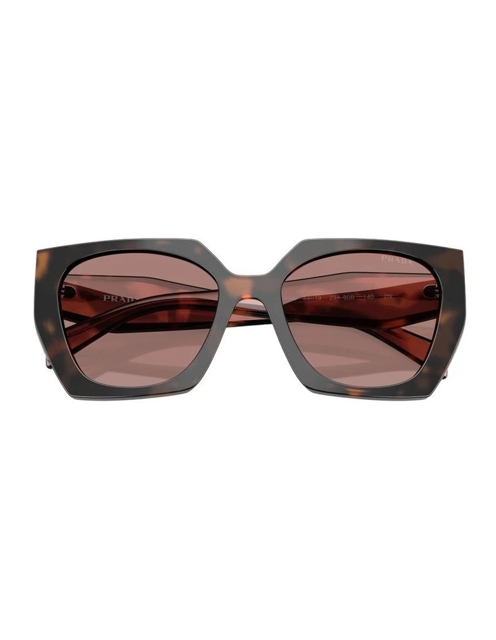 Acetate Sunglasses in Tortoise image 3