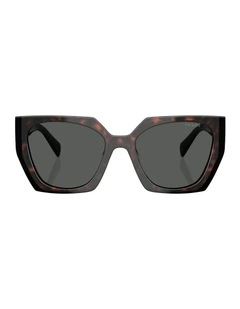 Acetate Sunglasses in Tortoise