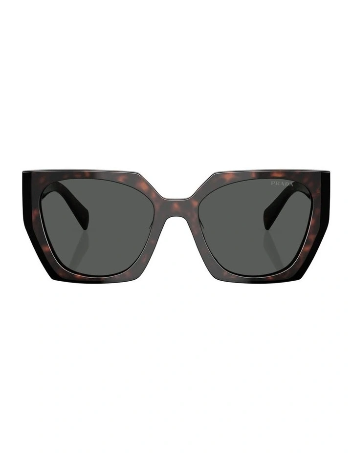 Acetate Sunglasses in Tortoise image 1