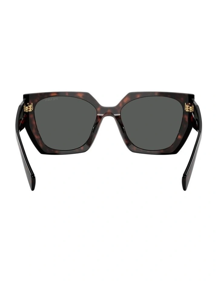 Acetate Sunglasses in Tortoise image 3