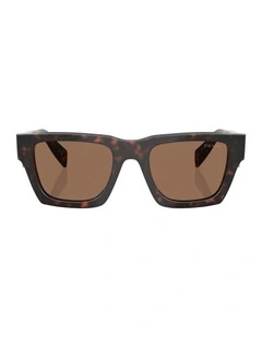 Acetate Sunglasses in Tortoise