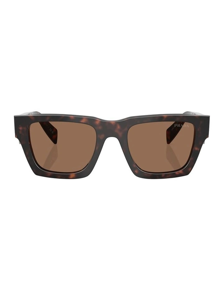 Acetate Sunglasses in Tortoise image 1