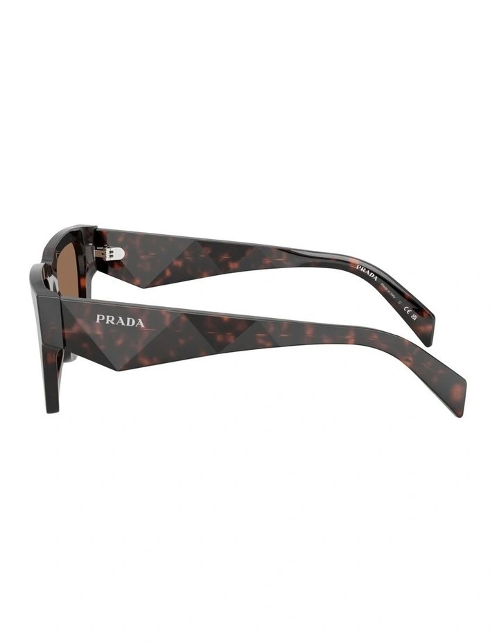 Acetate Sunglasses in Tortoise image 2
