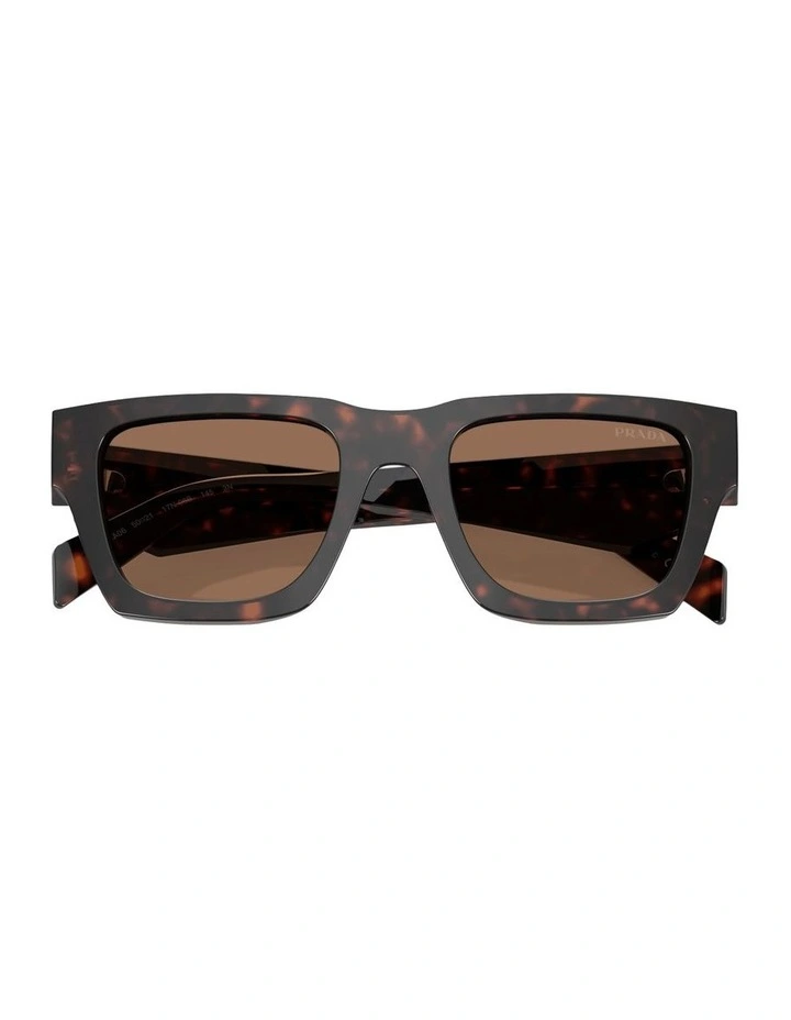 Acetate Sunglasses in Tortoise image 3