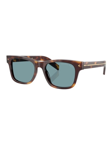 Classic Tortoise colour
