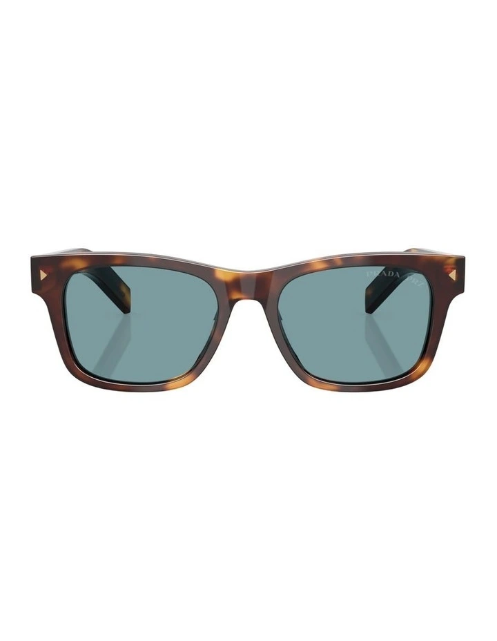 Acetate Polarised Sunglasses in Tortoise image 2