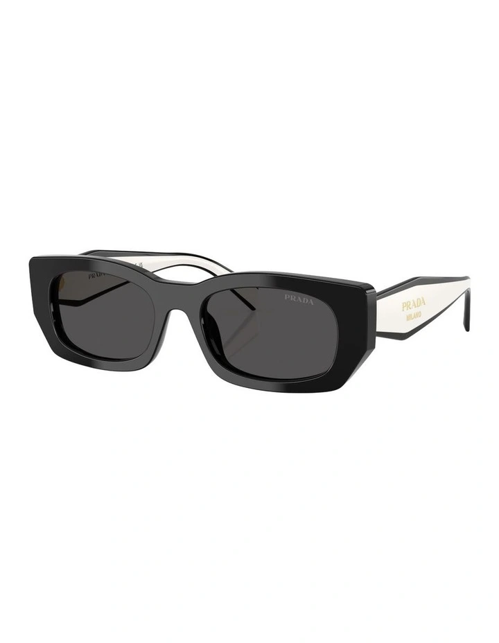 Acetate Sunglasses in Black image 1