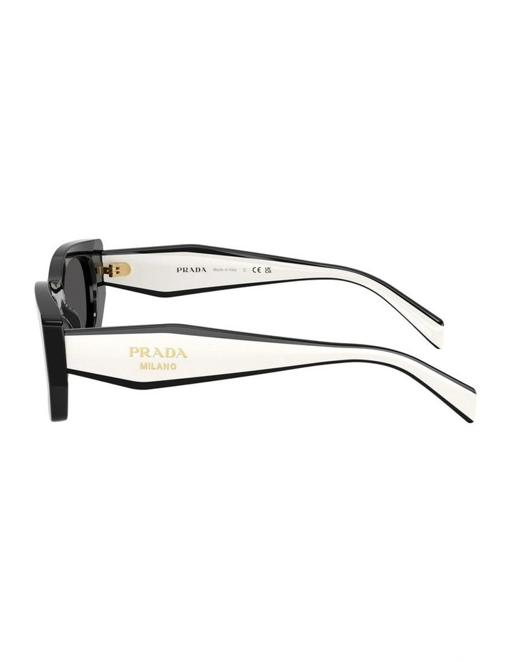 Acetate Sunglasses in Black image 3