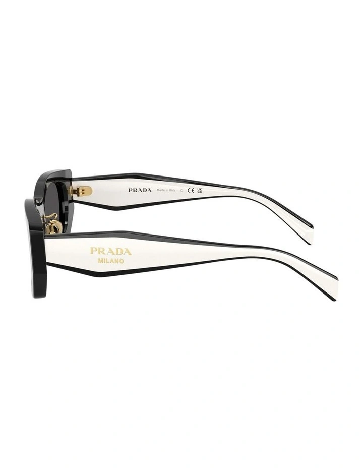 Acetate Sunglasses in Black image 2
