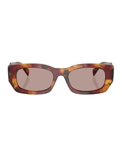 Acetate Sunglasses in Tortoise