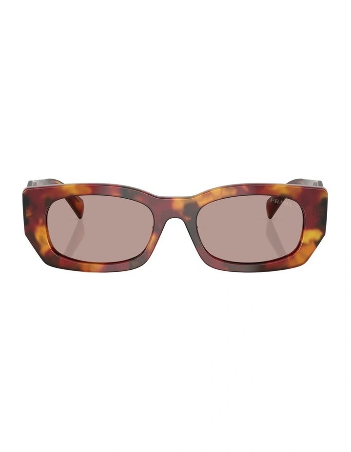 Acetate Sunglasses in Tortoise image 1