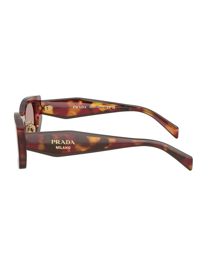 Acetate Sunglasses in Tortoise image 2