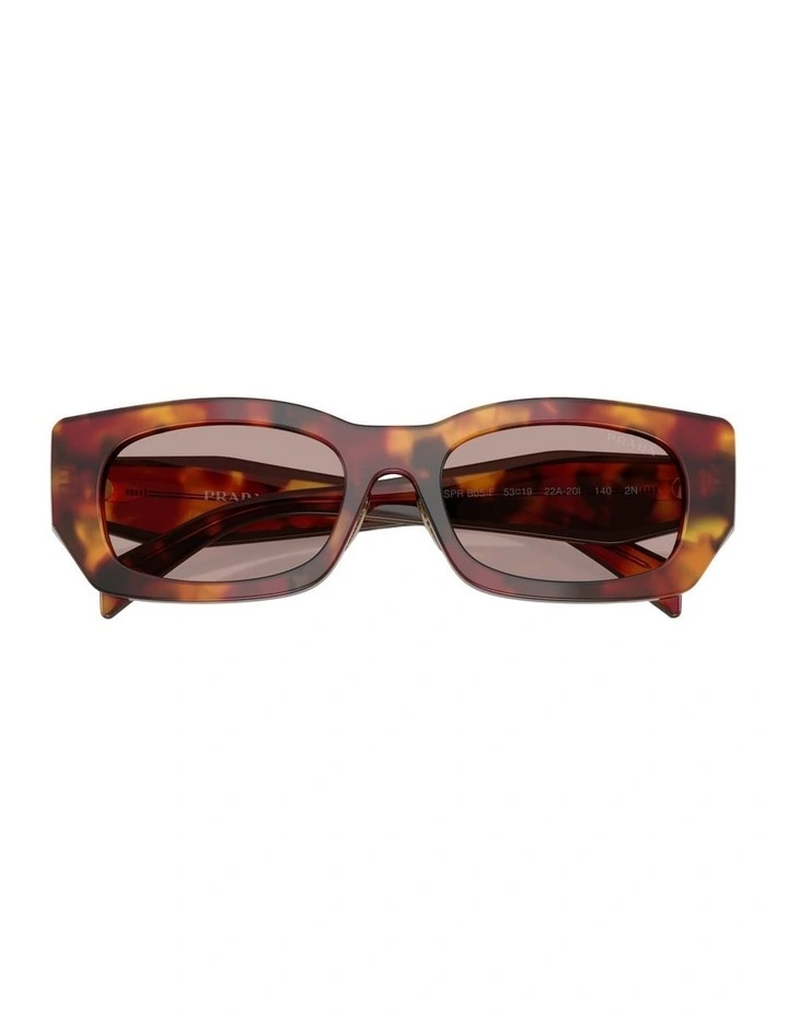 Acetate Sunglasses in Tortoise image 3