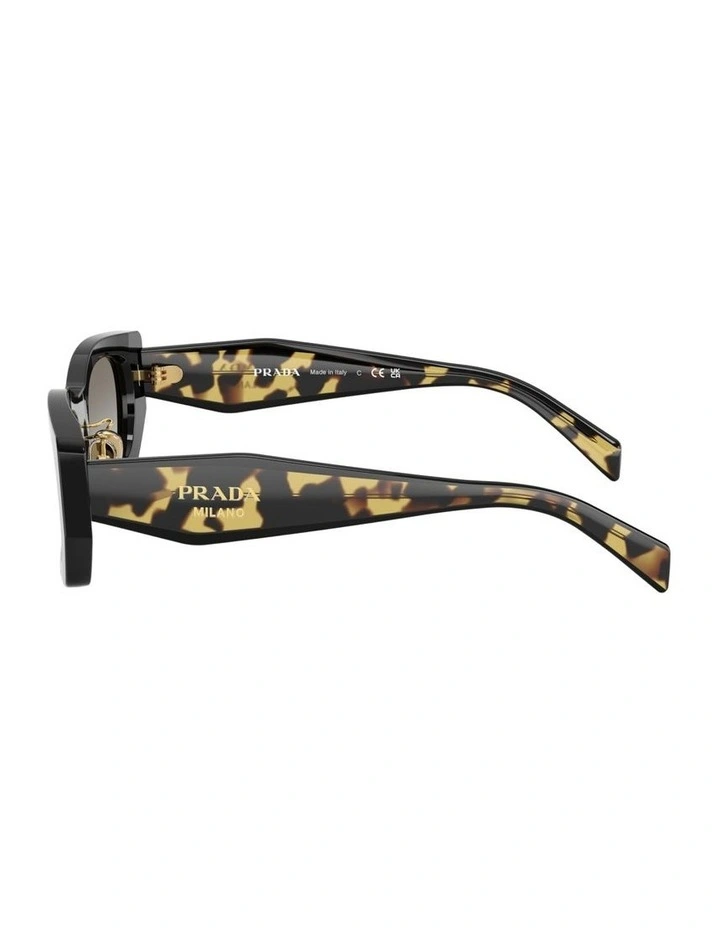 Acetate Sunglasses in Black image 2