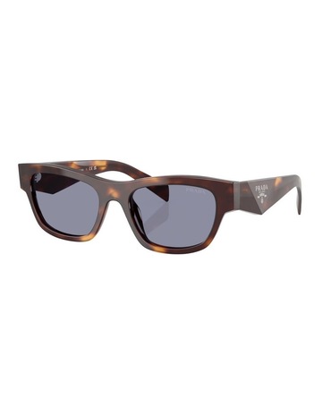 Classic Tortoise colour