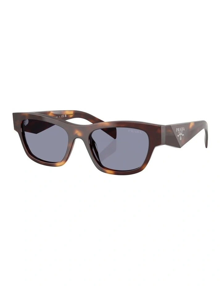 Acetate Sunglasses in Tortoise image 1