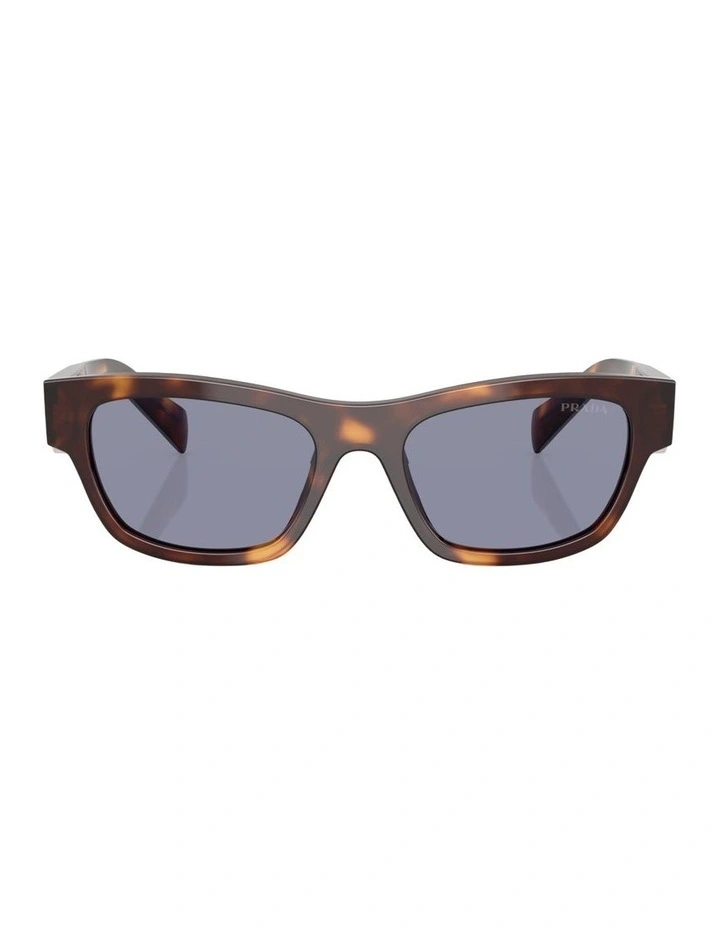 Acetate Sunglasses in Tortoise image 2