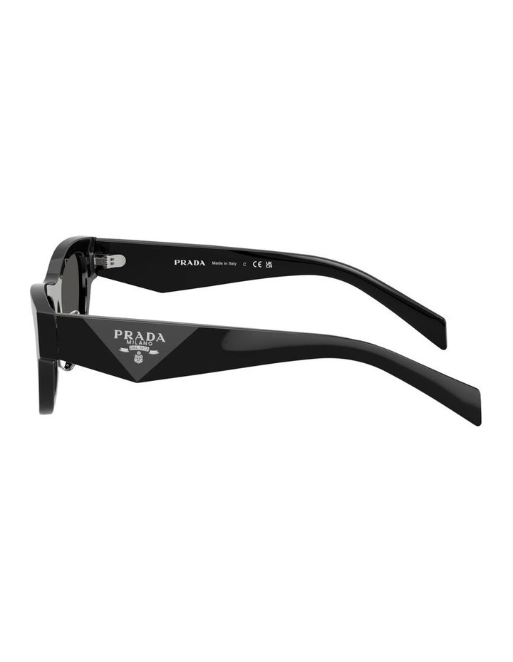 Acetate Sunglasses in Black image 2