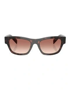 Acetate Sunglasses in Tortoise