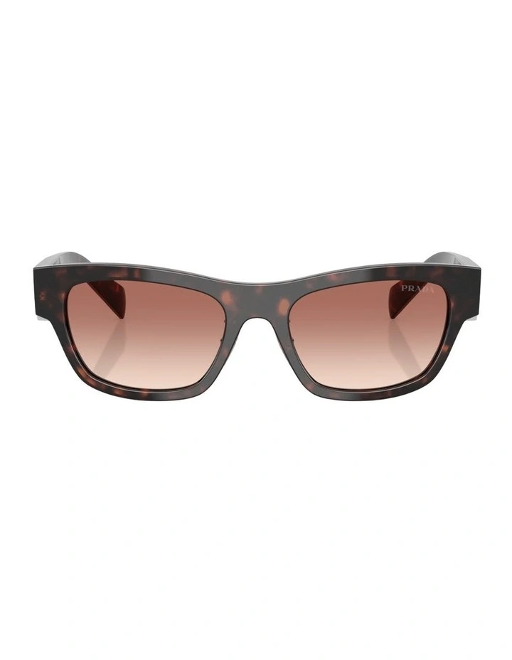 Acetate Sunglasses in Tortoise image 1