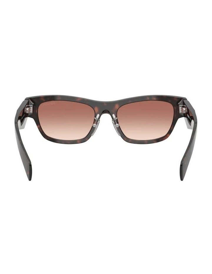 Acetate Sunglasses in Tortoise image 2