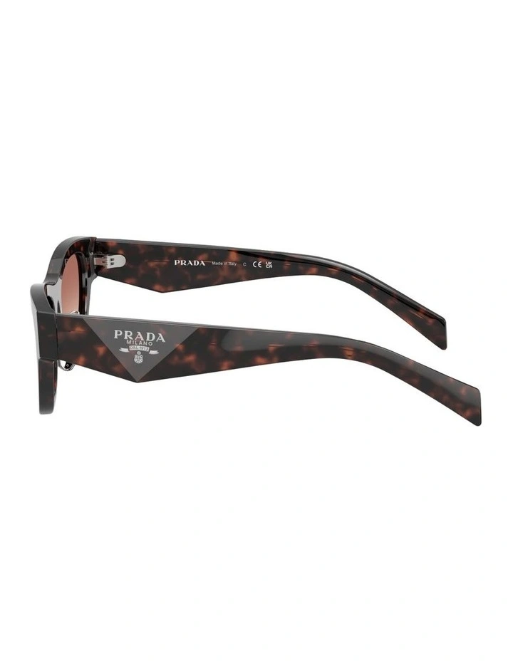 Acetate Sunglasses in Tortoise image 3