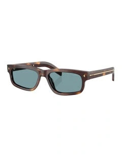 Acetate Polarised Sunglasses in Tortoise