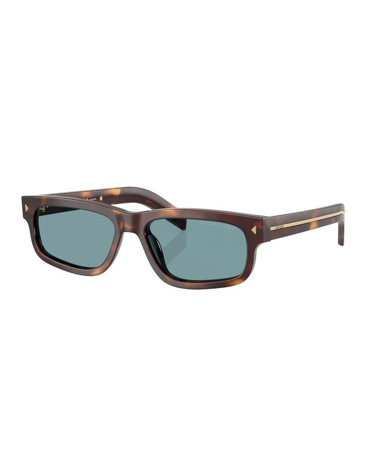 Acetate Polarised Sunglasses in Tortoise image 1