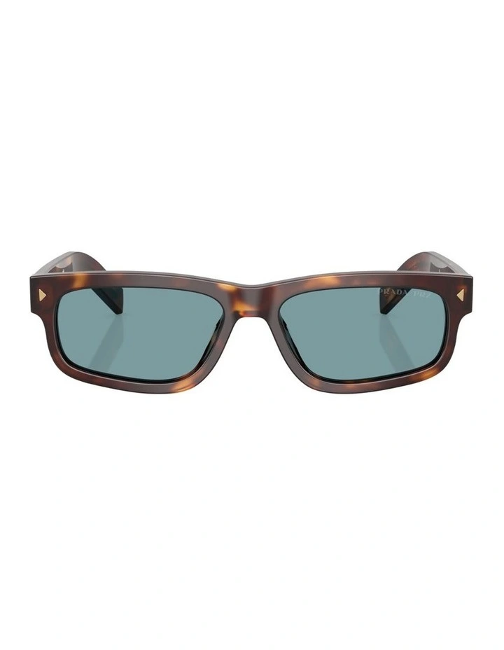 Acetate Polarised Sunglasses in Tortoise image 2