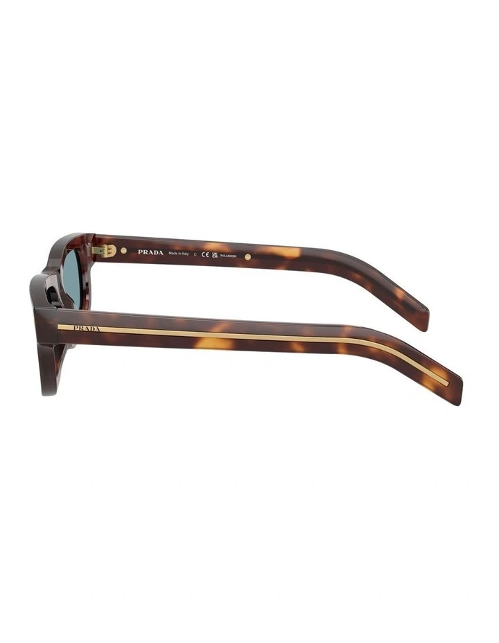 Acetate Polarised Sunglasses in Tortoise image 3