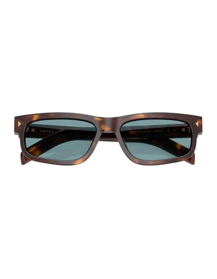 Acetate Polarised Sunglasses in Tortoise image 4