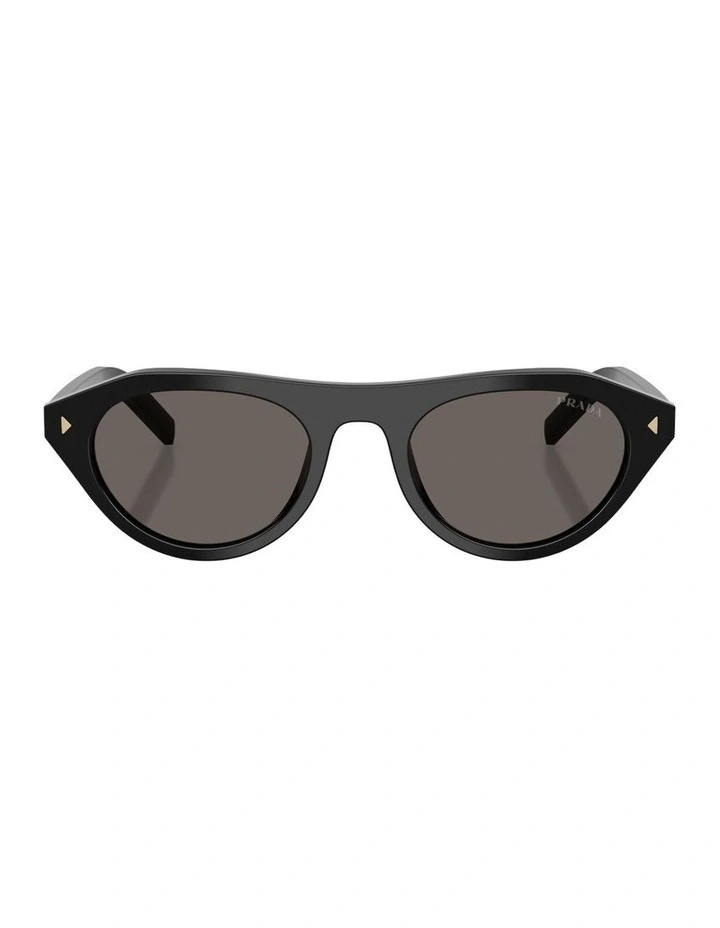 Acetate Sunglasses in Black image 2