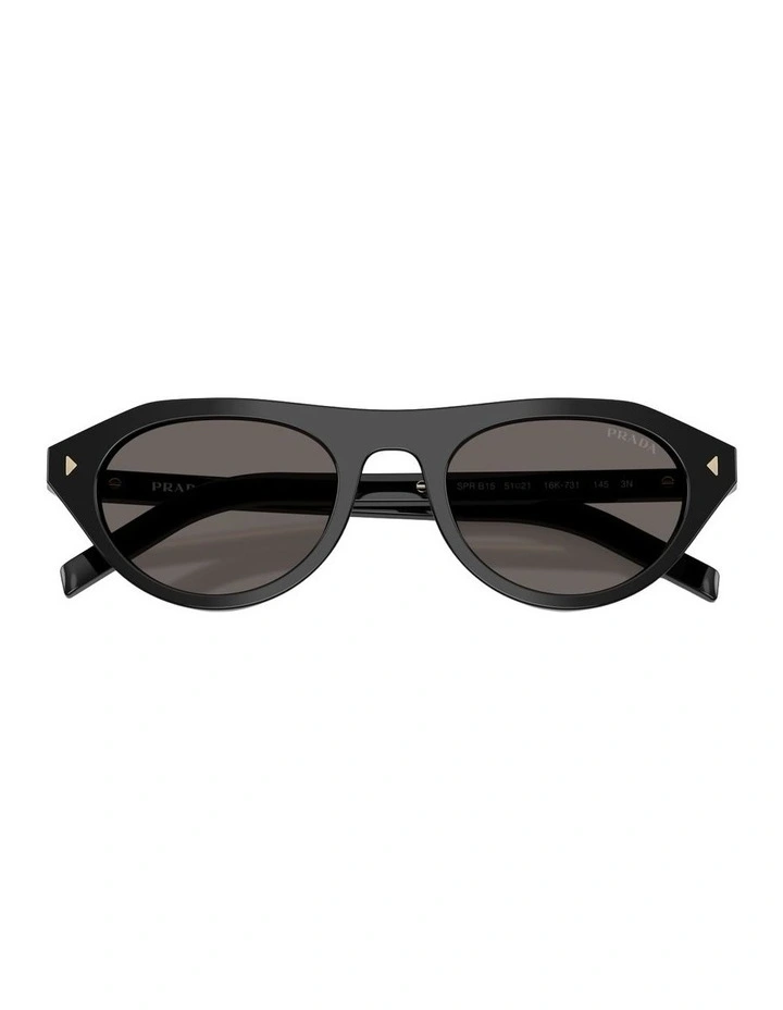 Acetate Sunglasses in Black image 4