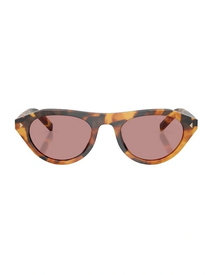 Acetate Polarised Sunglasses in Tortoise image 1
