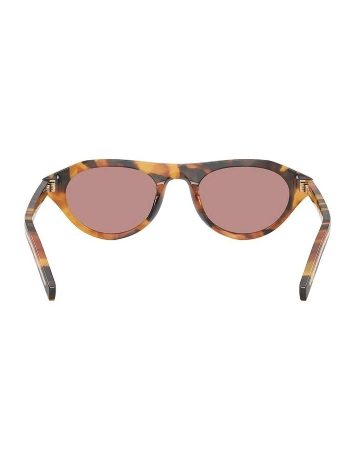 Acetate Polarised Sunglasses in Tortoise image 2